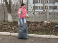               2011 