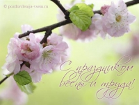С ДНЕМ ВЕСНЫ И ТРУДА С ДНЕМ ВЕСНЫ И ТРУДА
