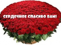 Родители группы № 31 детского сада АНО ДО «Планета детства «Лада» № 137 «Чижик» благодарят благодарят руководителя Шинину Нину Алексеевну Родители группы № 31 детского сада АНО ДО «Планета детства «Лада» № 137 «Чижик» благодарят благодарят руководителя Шинину Нину Алексеевну