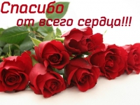 Галиченкова Н., мать воспитанника группы № 11 МБУ детского сада № 5 «Филиппок», благодарит воспитателя Козлову Ольгу Николаевну Галиченкова Н., мать воспитанника группы № 11 МБУ детского сада № 5 «Филиппок», благодарит воспитателя Козлову Ольгу Николаевну