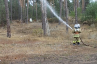 Завершились городские соревнования «Школа безопасности» Завершились городские соревнования «Школа безопасности»